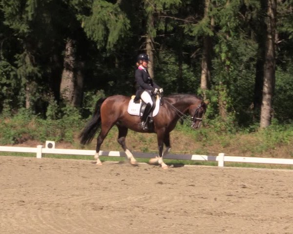 Reitturnier Kellinghusen 2022