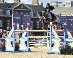jumper Cartier Sr (Holsteiner, 2012, from Canturenter)