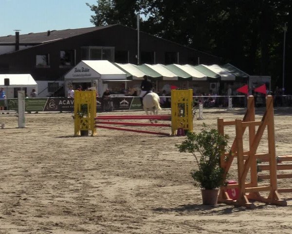 Reitturnier Datteln 2022