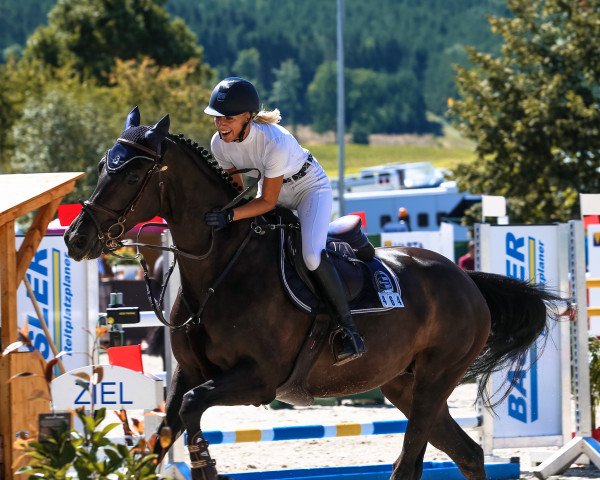jumper FBW Nikita W (Württemberger, 2015, from Naldo 29)