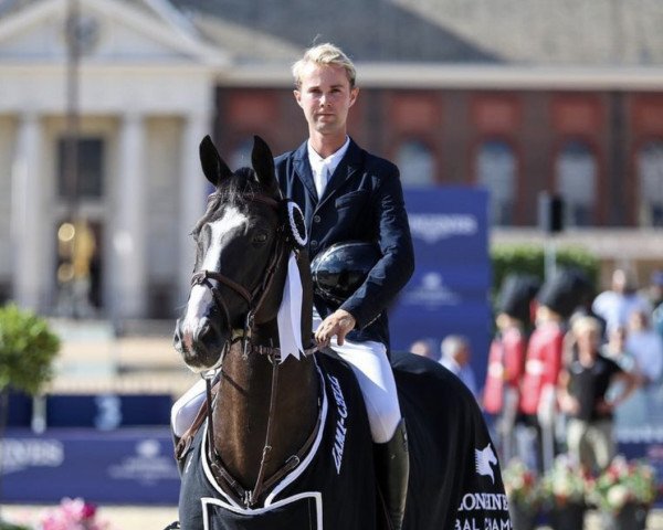 stallion Feromas van Beek Z (Zangersheide riding horse, 2012, from Fantomas de Muze)