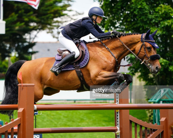 broodmare Halita O (KWPN (Royal Dutch Sporthorse), 2012, from Eldorado van de Zeshoek)