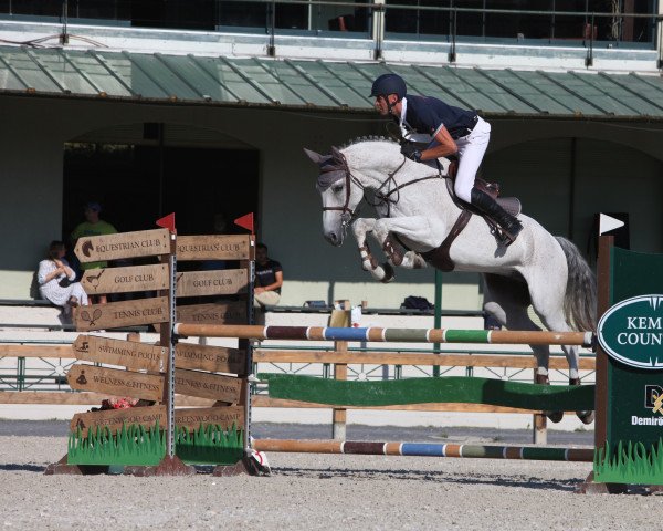 horse Monte Bianco (Belgium Sporthorse, 2012, from Ugano Sitte)