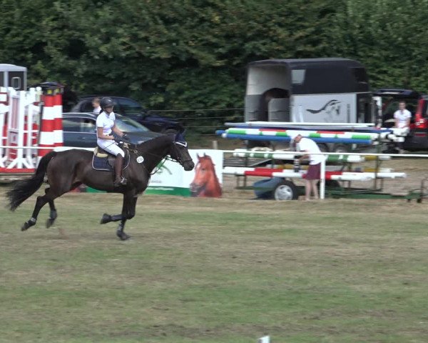 Reitturnier Kellinghusen 2022