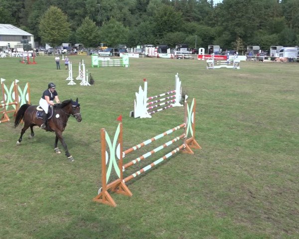 Reitturnier Kellinghusen 2022