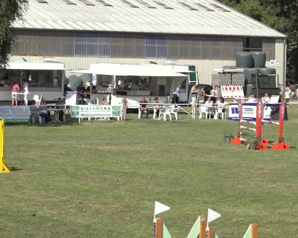 Reitturnier Kellinghusen 2022