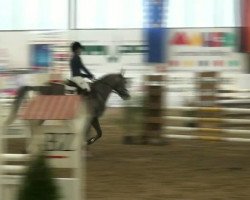 jumper Cristal (Westphalian, 2007, from Cristallo I)