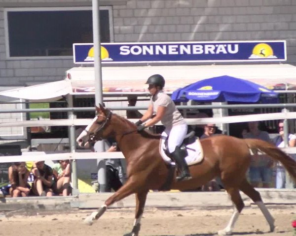 Reitturnier Oberriet 2022