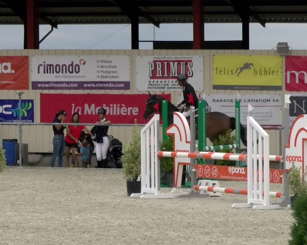 Reitturnier Dompierre 2022