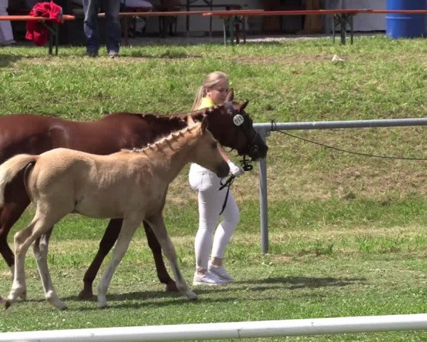 Video of Graceful Heart B