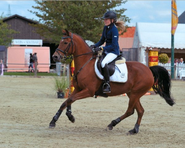 jumper Fly Dream 2 (German Riding Pony, 1996, from Cap. Hook)