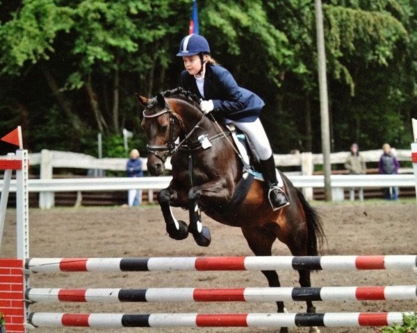 broodmare Romina Crimson Lake (German Riding Pony, 1997, from Tetworth Crimson Lake)