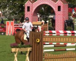 jumper Cosimo 32 (Saxony-Anhaltiner, 1999, from Cosinus B)