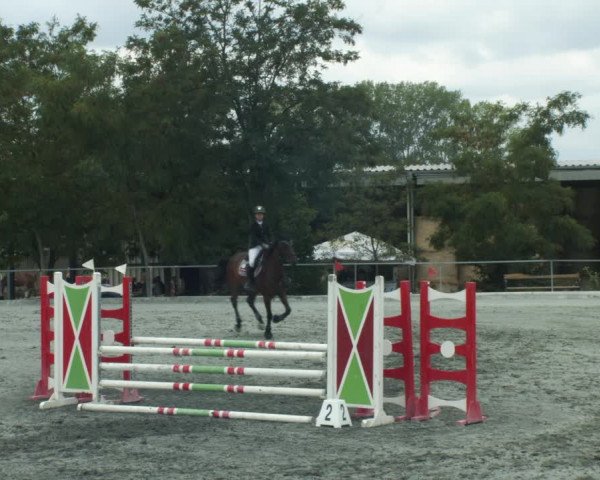 Reitturnier Horitschon 2022