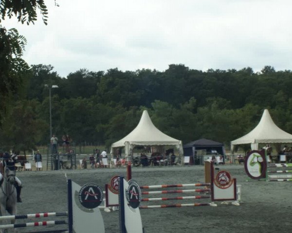 Reitturnier Horitschon 2022