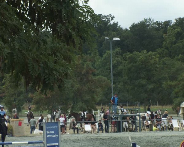 Reitturnier Horitschon 2022