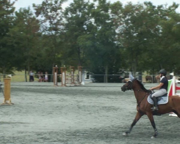 Reitturnier Horitschon 2022
