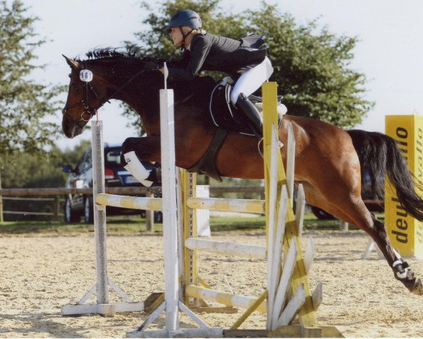 Zuchtstute Rianon (Westfale, 2000, von Riccione)