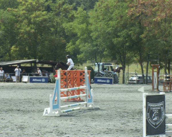 Reitturnier Horitschon 2022