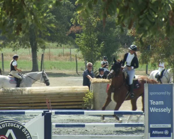 Reitturnier Horitschon 2022