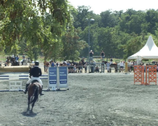 Reitturnier Horitschon 2022