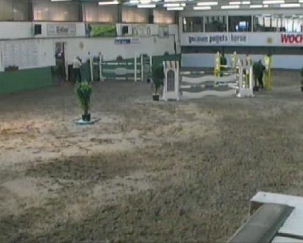 jumper Quantensprung (Westphalian, 2003, from Quo Vados I)