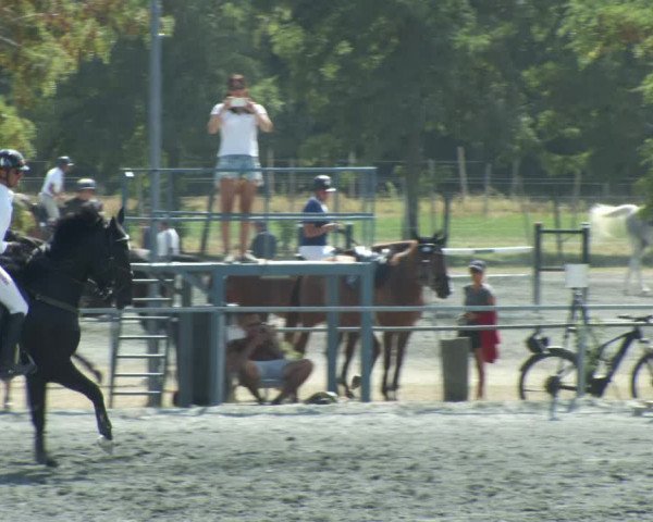 Reitturnier Horitschon 2022