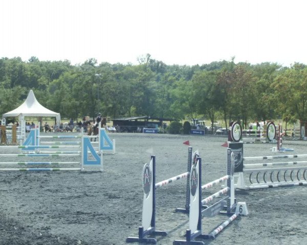 Reitturnier Horitschon 2022
