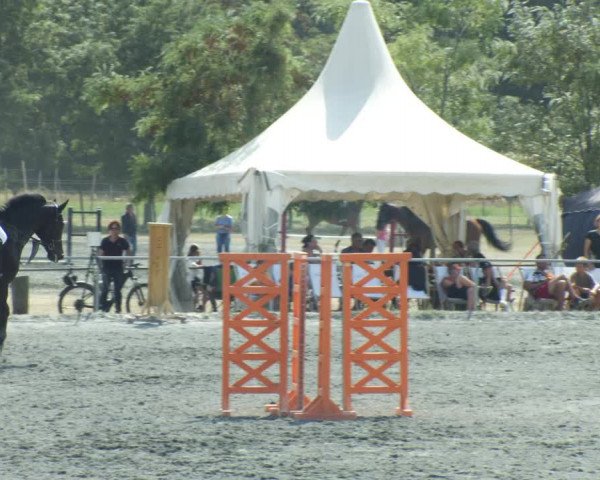 Reitturnier Horitschon 2022