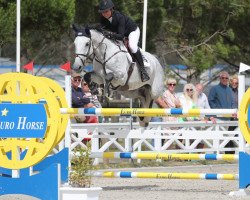 Springpferd Ophelia van het Lambroeck (Belgisches Warmblut, 2014, von Kannan)