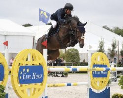jumper Piaf Horta (Belgian Warmblood, 2015, from Gemini CL xx)