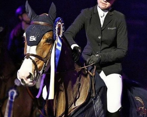 jumper Farrah W (KWPN (Royal Dutch Sporthorse), 2010, from Cantos)