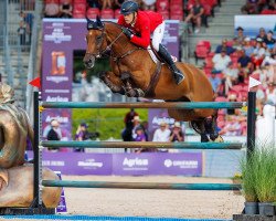 jumper Elektric Blue P (German Sport Horse, 2011, from Eldorado van de Zeshoek)
