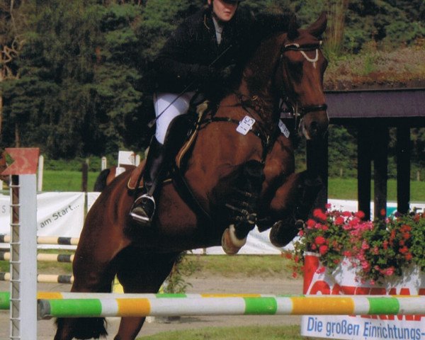 horse Carim 7 (Oldenburg, 2000, from Carnando)