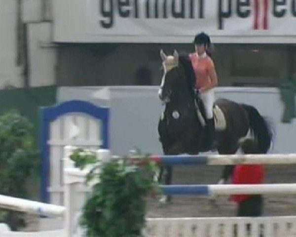 jumper Lancelot 213 (Westphalian, 1998, from Lamoureux I)