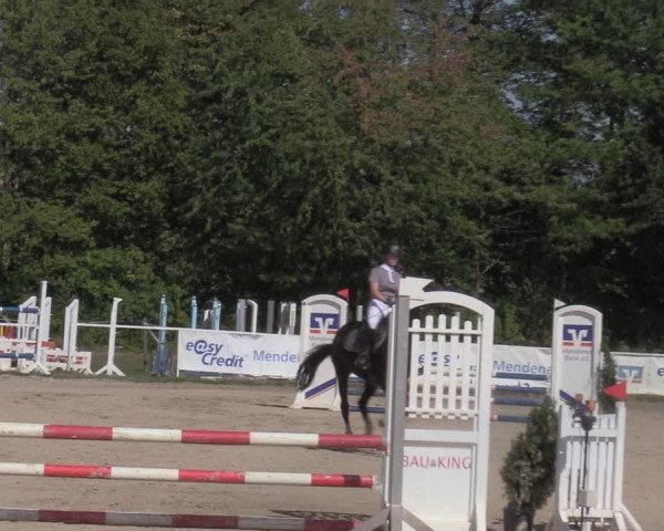 Reitturnier Menden 2022