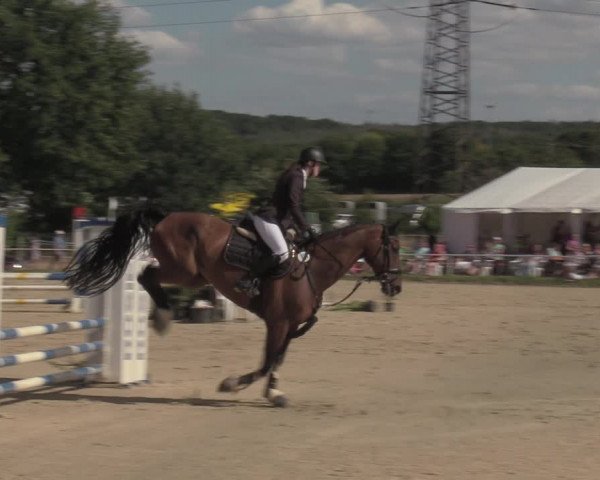 Reitturnier Menden 2022
