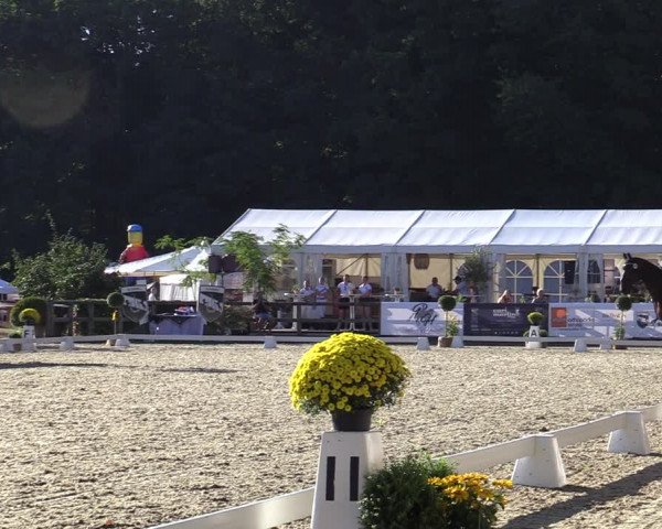 Reitturnier Solingen 2022