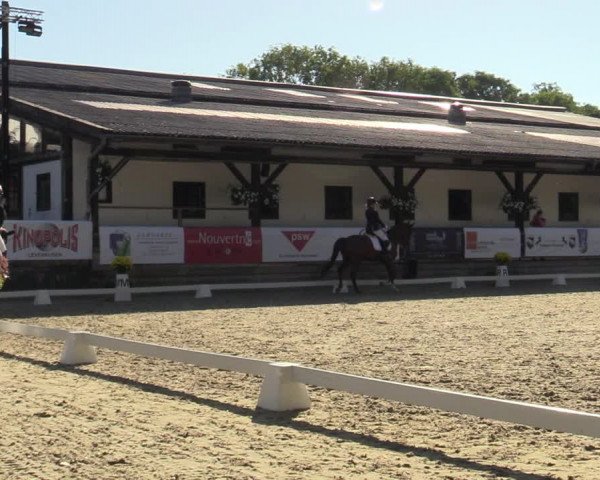 Reitturnier Solingen 2022