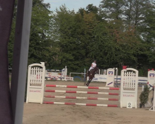 Reitturnier Menden 2022