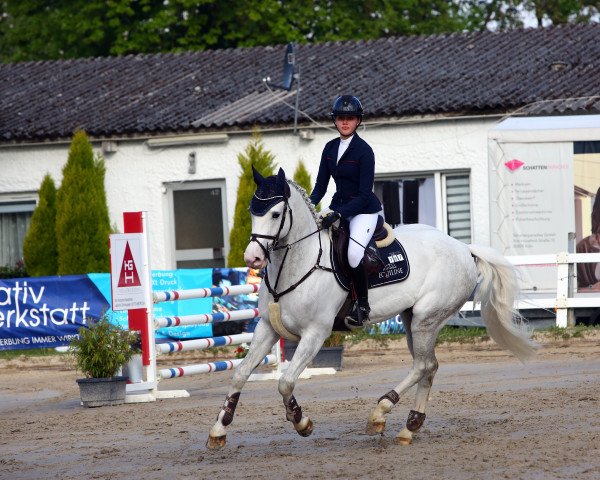 jumper Constantin de Coeur (Oldenburg show jumper, 2015, from Coupie)