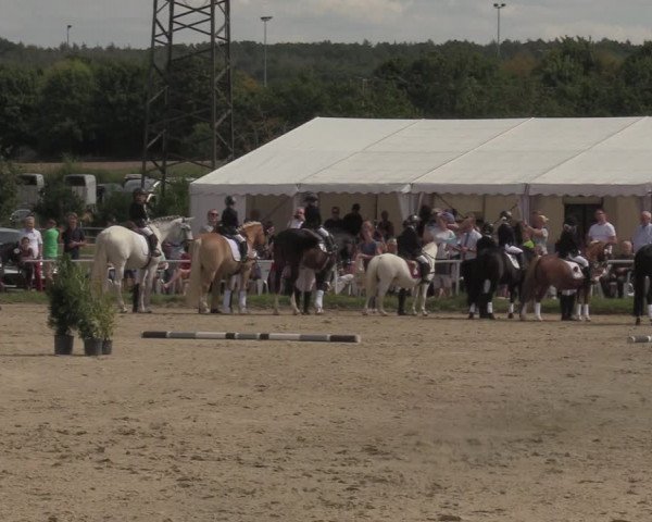 Reitturnier Menden 2022
