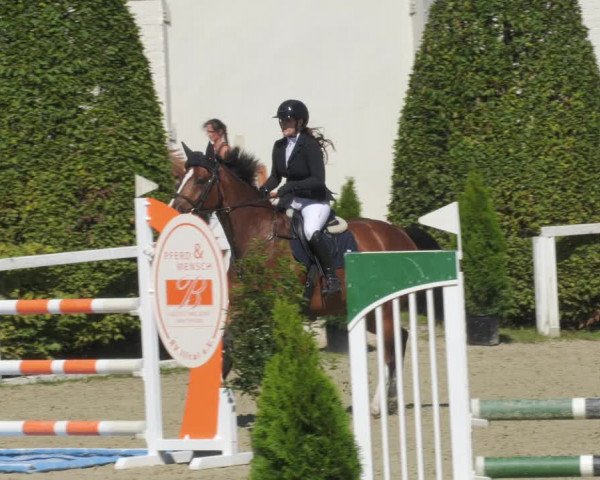 Reitturnier St.Wendel, Gestüt Welvert 2022