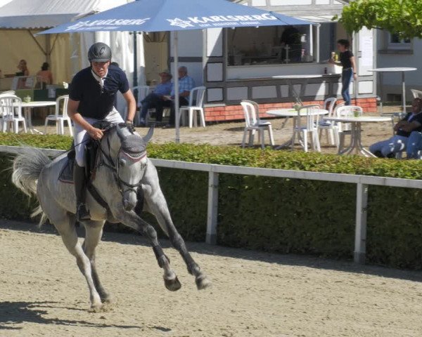 Reitturnier St.Wendel, Gestüt Welvert 2022