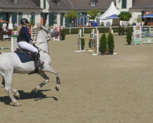 Reitturnier St.Wendel, Gestüt Welvert 2022