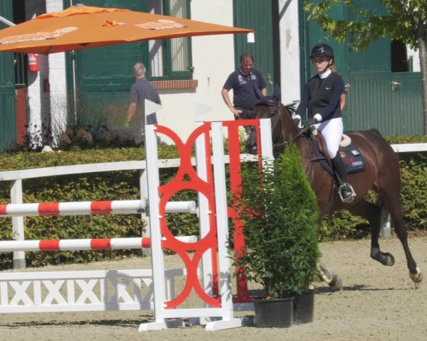 Reitturnier St.Wendel, Gestüt Welvert 2022