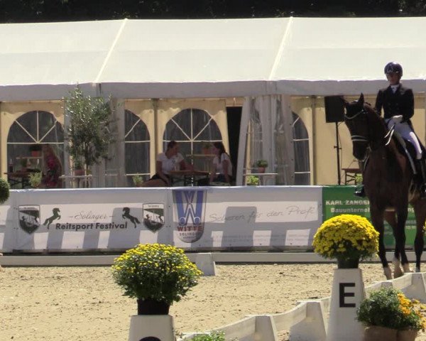 Reitturnier Solingen 2022