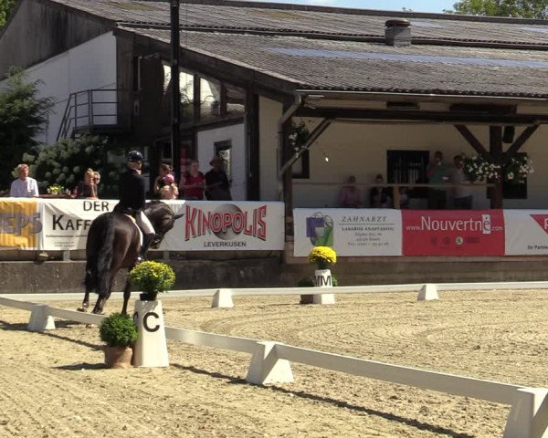 Reitturnier Solingen 2022