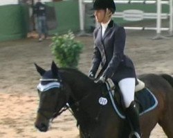 jumper Quintero F (Holsteiner, 2005, from Quinar)