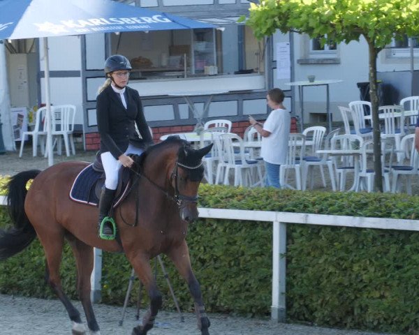 Reitturnier St.Wendel, Gestüt Welvert 2022